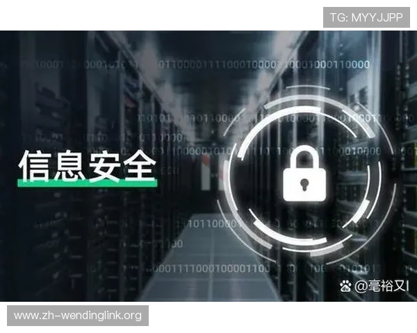 问鼎最新下载链接入口安全保障措施，保障用户下载过程中的信息安全