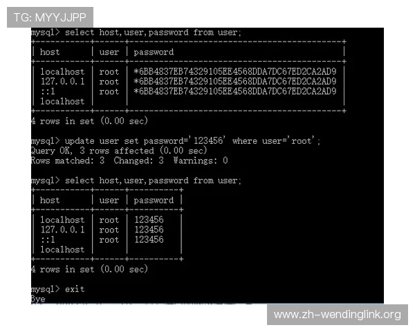 问鼎网页版无法直接登录的原因分析及快速修复方法详解